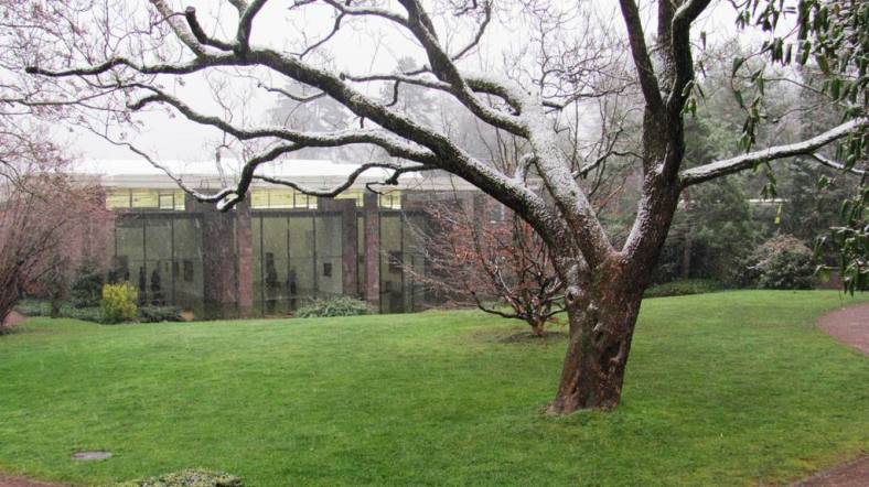 פנינה אדריכלית ואמנותית. קרן ביילר