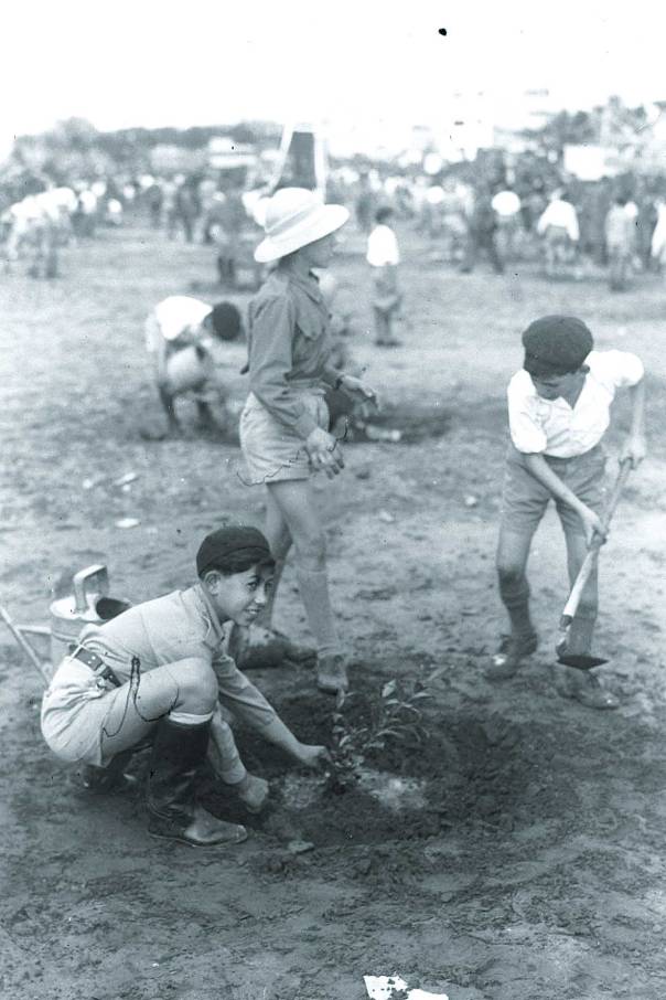 "למען חבב את הנטעים, לשבוע מטובם ולהתענג מיופיים". תל אביב, 1936   
צילום: קלוגר זולטן, לע"מ
