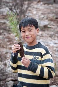 צילום: פלאש 90