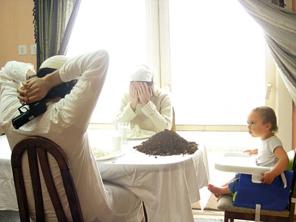 ללמוד לשאול שאלות. פורת סולומון, שבת