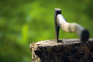 צילום: Thinkstock