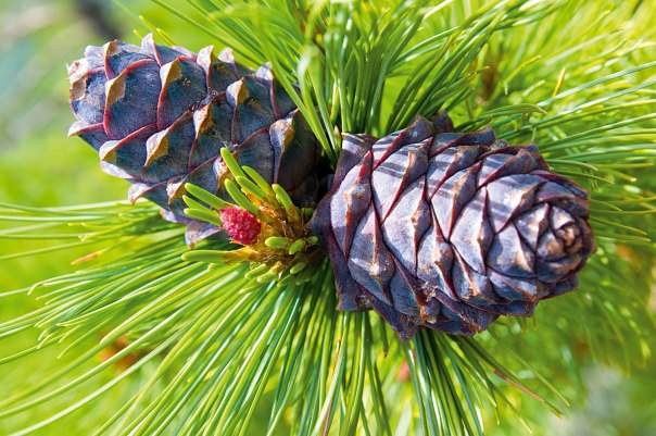 צילום: Thinkstock