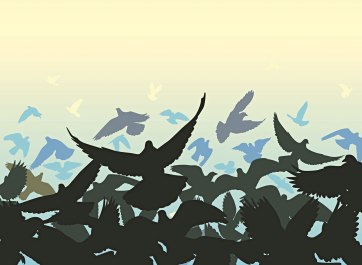 מתוך המחזור: שירים מחצר הכלא