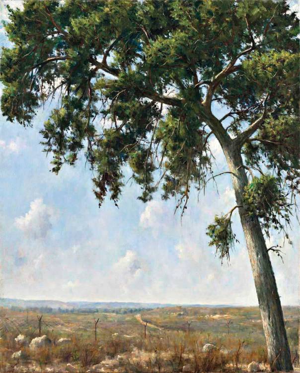 אוהב להסתכל על המתח שבמציאות. "אורן על קו התפר", 2007