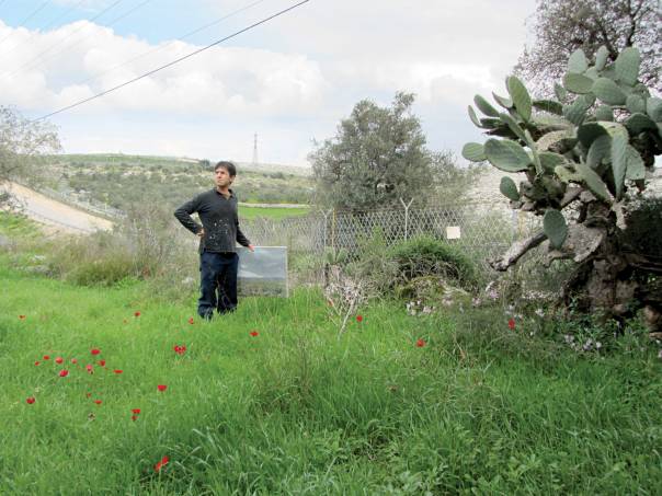 "אם אמירה פוליטית תוביל אותי לצייר משהו, אפספס את הציור ולא יווצר מפגש אמיתי". אילן ברוך בשטח צילום: איל ששון