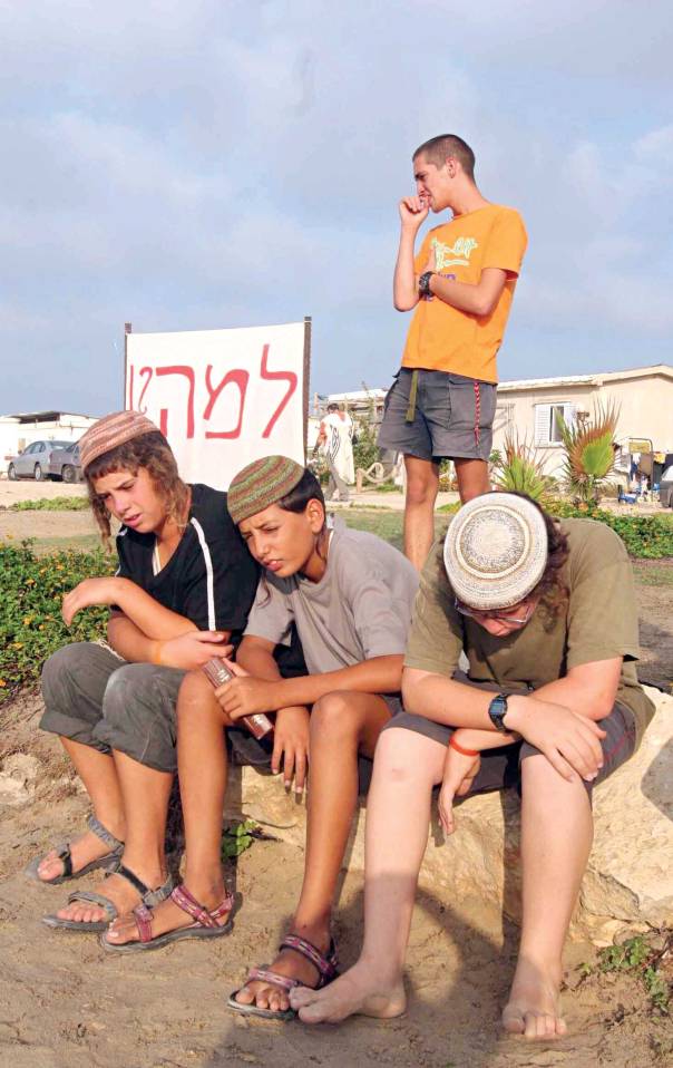 צילום: מרים צחי