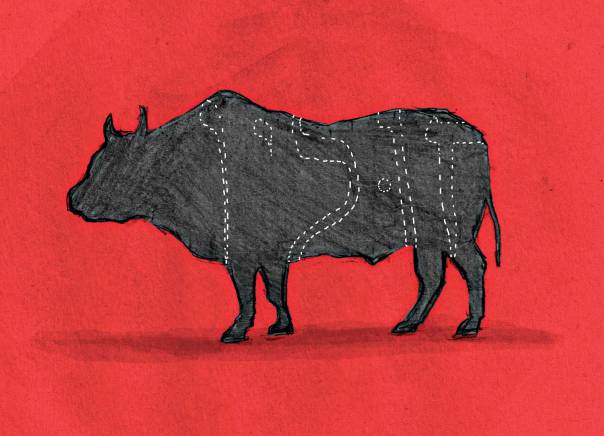 איור: מנחם הלברשטט