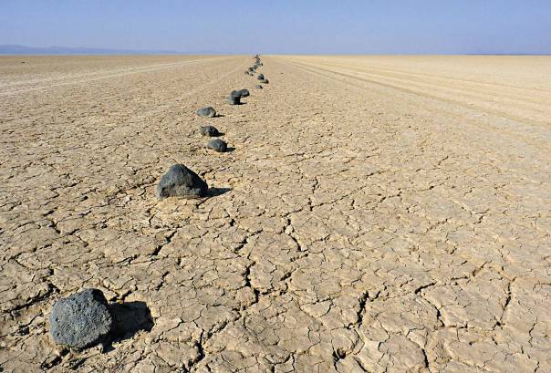 צילום: אי.פי  
