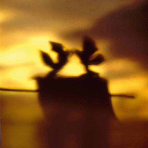 יורם בוזגלו, מתוך הסדרה "בצל־אל"         מוצג בביאנלה לאמנות יהודית עכשווית, מוזיאון היכל שלמה, ירושלים 