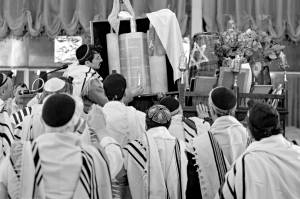 צילום: אי.פי