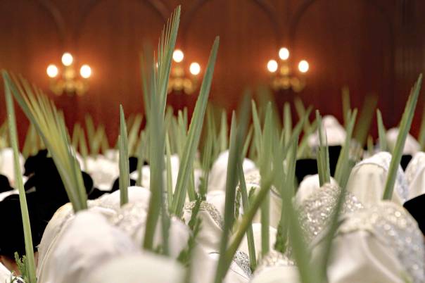 השוואה מעניינת בין הלכות לולב להלכות שופר. הושענא רבה בירושלים                  צילום: פלאש 90