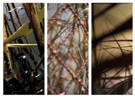 גיא ניסנהויז, פרטים מתוך Cu2013. מתוך תערוכה המוצגת בבית האמנים עד 12.10 צילום: לי זלבה