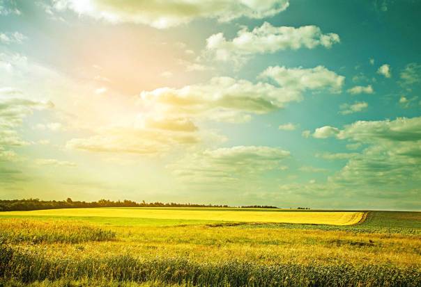 צילום: שאטרסטוק