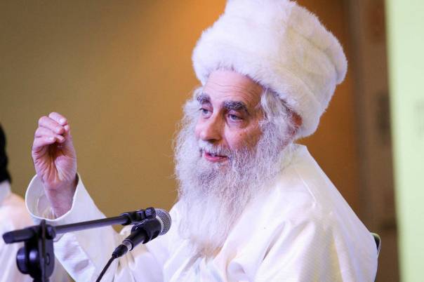 לומדים במשותף. הרב מנחם פרומן             צילום: מרים צחי