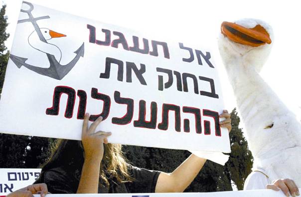 חקיקה המבוססת על רגשות היא שגיאה. הפגנה נגד פיטום האווזים, 2005       צילום: פלאש 90