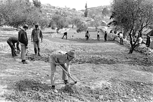 קשה להחליט בצורה חד־משמעית שהגענו לשלב הגאולה. אנשי גוש אמונים מקימים יישוב, 1975  צילום: לע"מ 