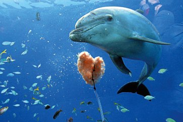 צילום: גטי אימג'ס