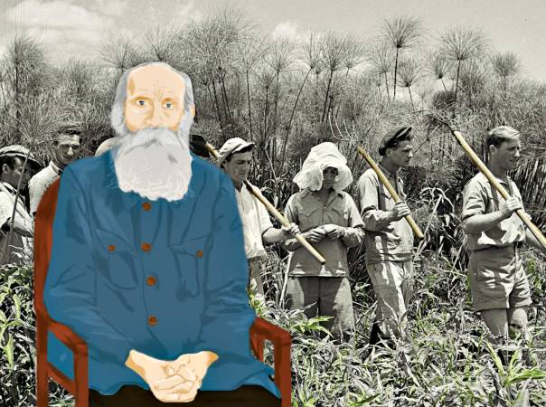 איור: מוריה מאיר, צילום: לע"מ