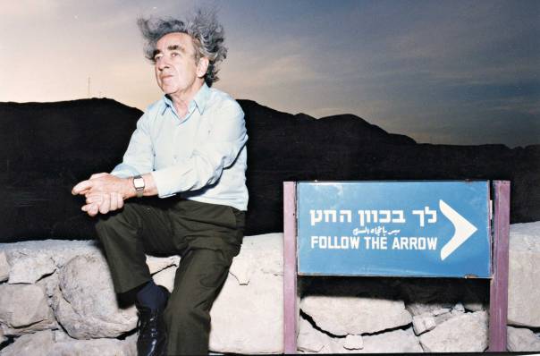 משהו בלהטי נפשו לכד. פנחס שדה, 1993  צילום: ראובן קסטרו