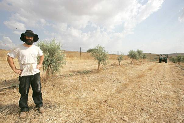 על השמיטה להיות נוכחת בחברה הישראלית כולה. חקלאות ביישוב משכיות צילום: מרים צחי