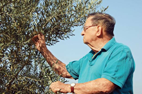 דגל ברעיון שלמות ארץ ישראל. עזריה אלון  צילום: יוסי זליגר