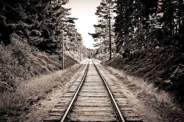 מונולוג נמשך, הזוי ופרוע, ברכבת לילית החוצה את איטליה  צילום: שאטרסטוק