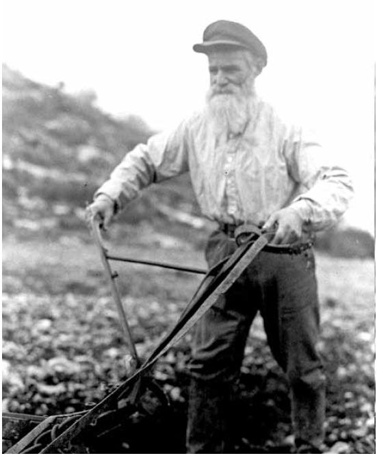  לשמור על רוחה הסוציאלית של השמיטה. חקלאי בכפר חסידים, 1937 צילום: לע"מ 