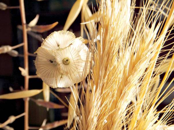 יצחק גלעדי, שיבולים, תשע"ג