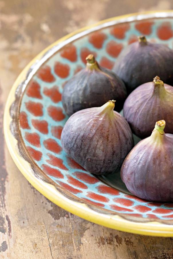 כיסופים לתאנה במהלך דיון על ארץ ישראל צילום: גטי אימג'ס