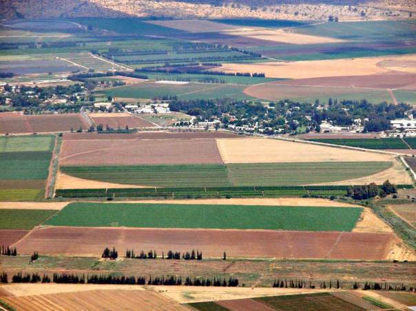 השמיטה מפלה בין המגזר החקלאי לאחרים. שדות חקלאים בעמק החולה  צילום: אליעזר הורוויץ