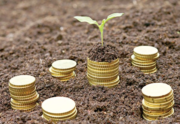 shutterstock_115548781