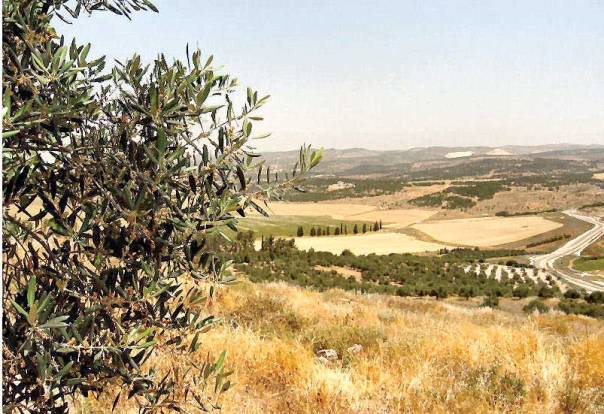 מבט מתל עדולם להרי יהודה  צילום: דניאל ונטורה 