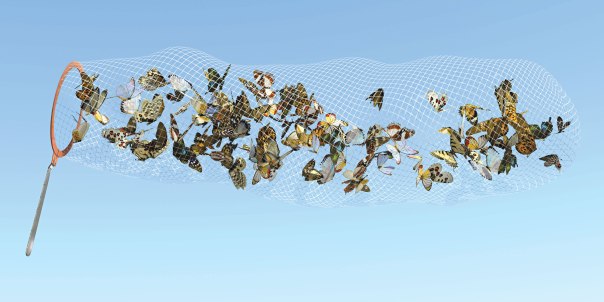 יופי גם בתוך מציאות של קרעים וכאב. רשת פרפרים צילום אילוסטרציה: שאטרסטוק 