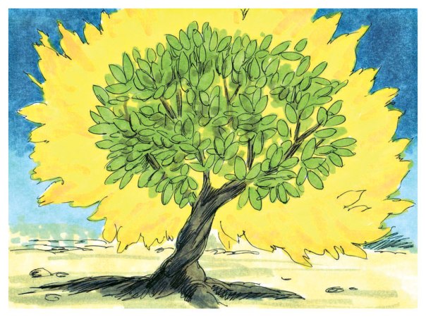 צנזורה על החזון שבא מן השמים. הסנה בוער, ג'ים פדג'ט, 1984