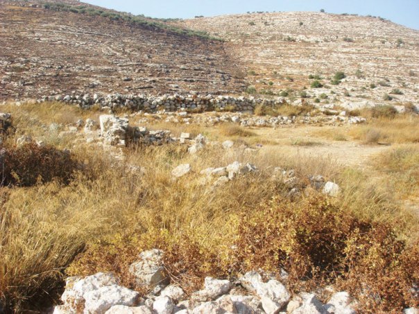 זוהה כבר בימי הביניים. תל שילה  צילום: בית השלום 