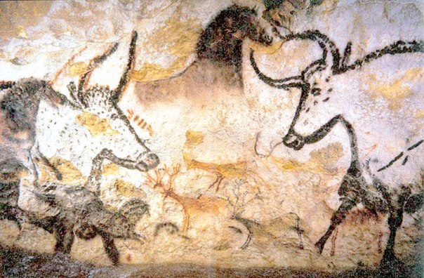 שור הבר במערת לאסקו, חבל דורדון, צרפת