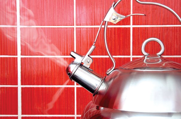 shutterstock_48361561