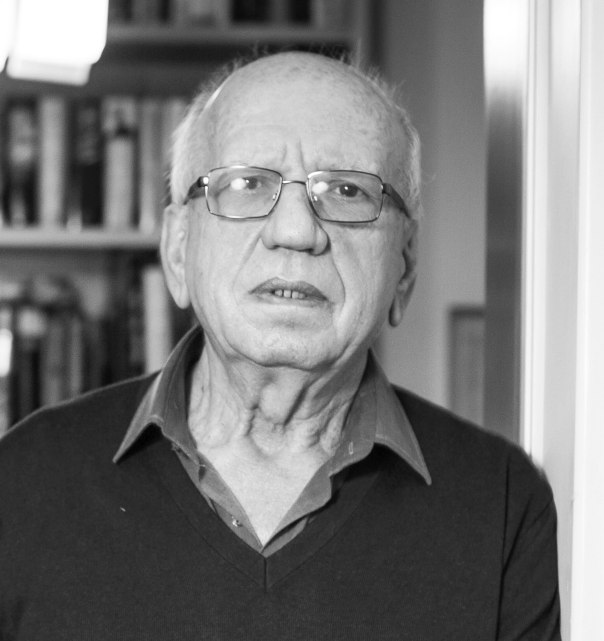 דן מירון צילום: אריק סולטן