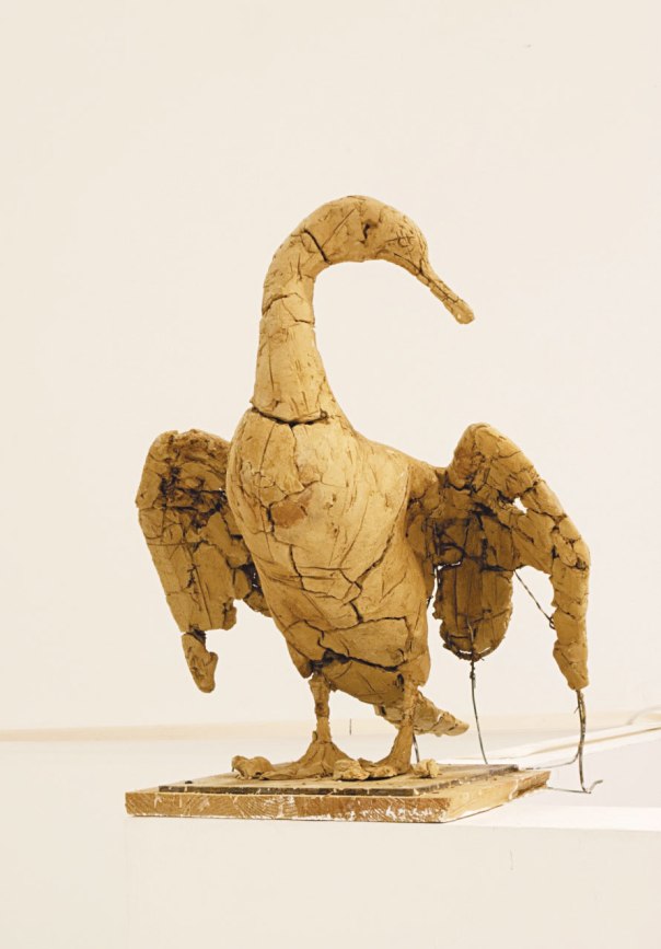 הציפור הזו זקוקה לרחמים. נעה היינה; "ללא כותרת", 2014