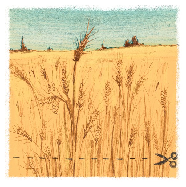 איור: מנחם הלברשטט