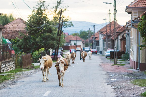"לא הייתי שייך לכפר. בבתים נלחשה עלי תמיד יהדותי". רומניה צילום אילוסטרציה: שאטרסטוק 