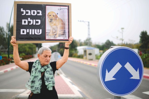 טשטוש ההבחנה בין אדם וחיה. הפגנה נגד שימוש בבעלי חיים למחקרים רפואיים, חוות מזור, 2014 צילום: תומר ניוברג, פלאש 90