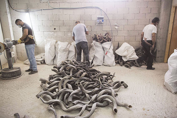 השופר‭ ‬מכריח‭ ‬לשמוע‭, ‬מכריח‭ ‬להיות‭. ‬מפעל‭ ‬שופרות‭ ‬ בירושלים‭, ‬2014 צילום‭: ‬יונתן‭ ‬זינדל‭, ‬פלאש‭ ‬90 