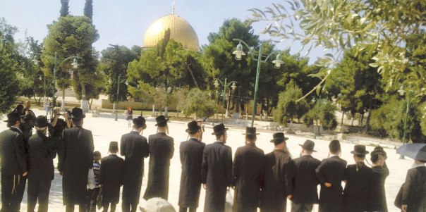 החוק‭ ‬מחייב‭ ‬שוויון‭ ‬בין‭ ‬בני‭ ‬כל‭ ‬הדתות‭, ‬וכאן‭ ‬מתקיימת‭ ‬אפליה‭ ‬בוטה‭ ‬כלפי‭ ‬היהודים‭. ‬קבוצת‭ ‬חרדים‭ ‬בתפילה‭ ‬בהר‭ ‬הבית‭, ‬2013 צילום‭: ‬התנועה‭ ‬לכינון‭ ‬המקדש 