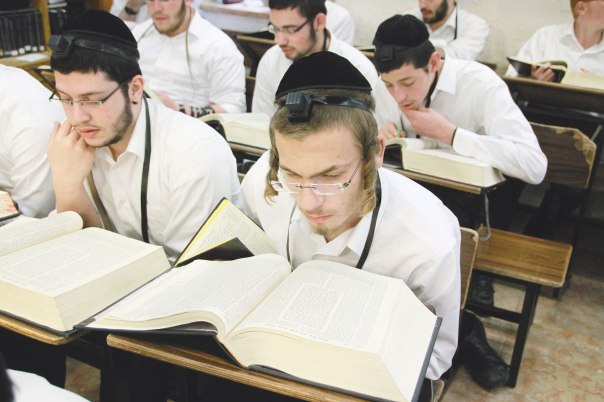 צילום: בועז בן ארי 