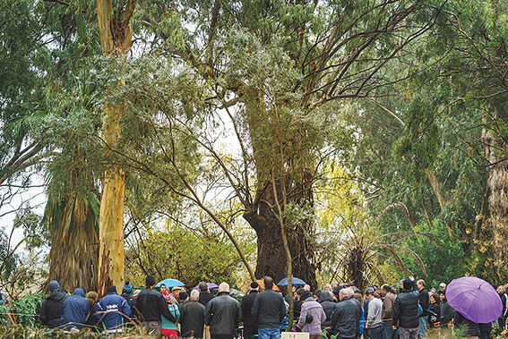 הלוויתו בכפר בלום צילום:  ‬אנצ‭'‬ו‭ ‬גוש–ג‭'‬יני 
