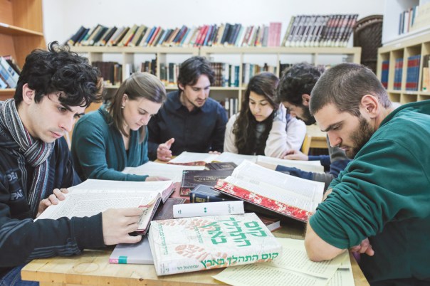 צילום: אבישג שאר ישוב