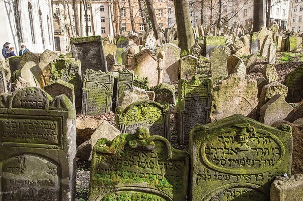 ‭"‬הקבר‭ ‬היה‭ ‬ריק‭ ‬לחלוטין‭". ‬ בית‭ ‬קברות‭ ‬יהודי צילום‭: ‬נועם‭ ‬רבקין‭ ‬פנטון‭, ‬פלאש‭ ‬90 