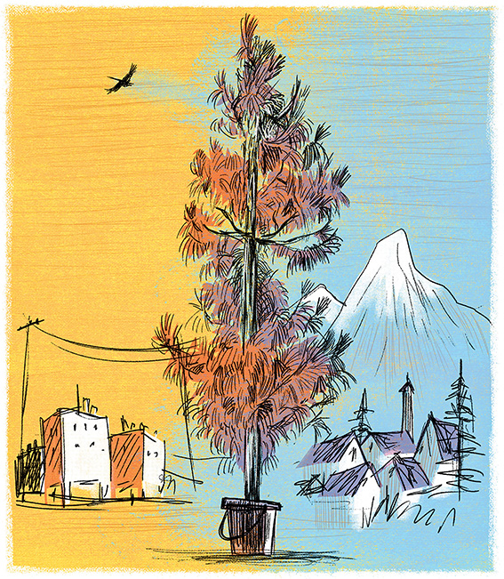 איור: מנחם הלברשטט