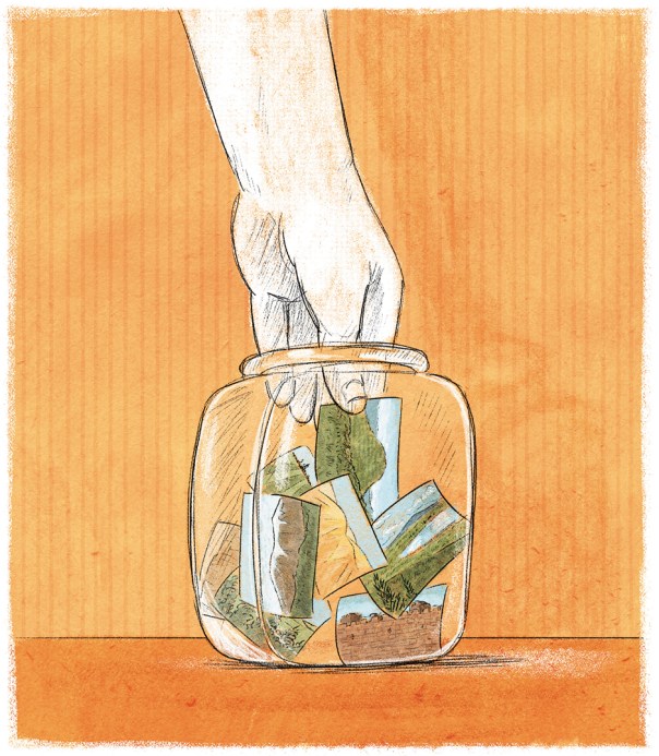 איור: מנחם הלברשטט